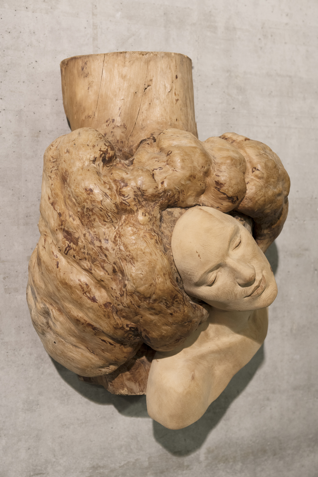 ipertrofia - autoritratto