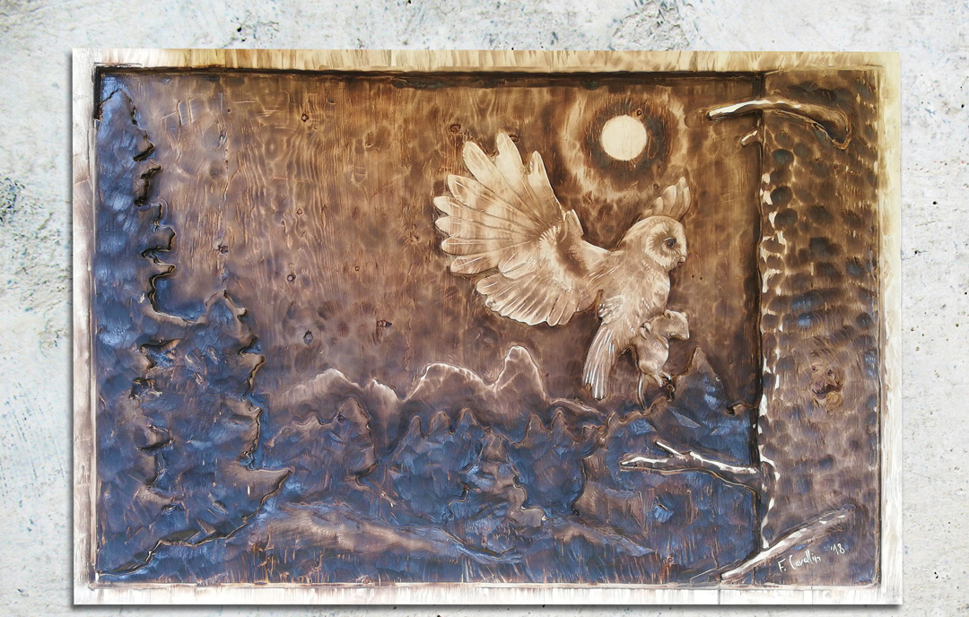 civetta - caccia notturna